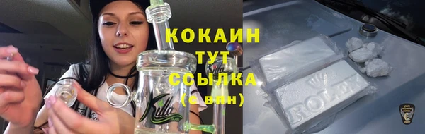 мет Новодвинск