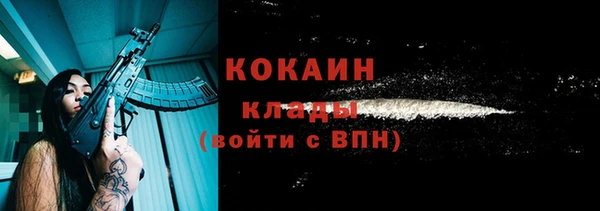 мет Новодвинск