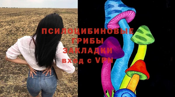 метадон Новозыбков