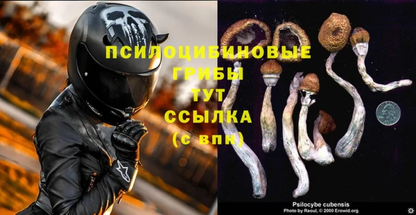 метадон Новозыбков