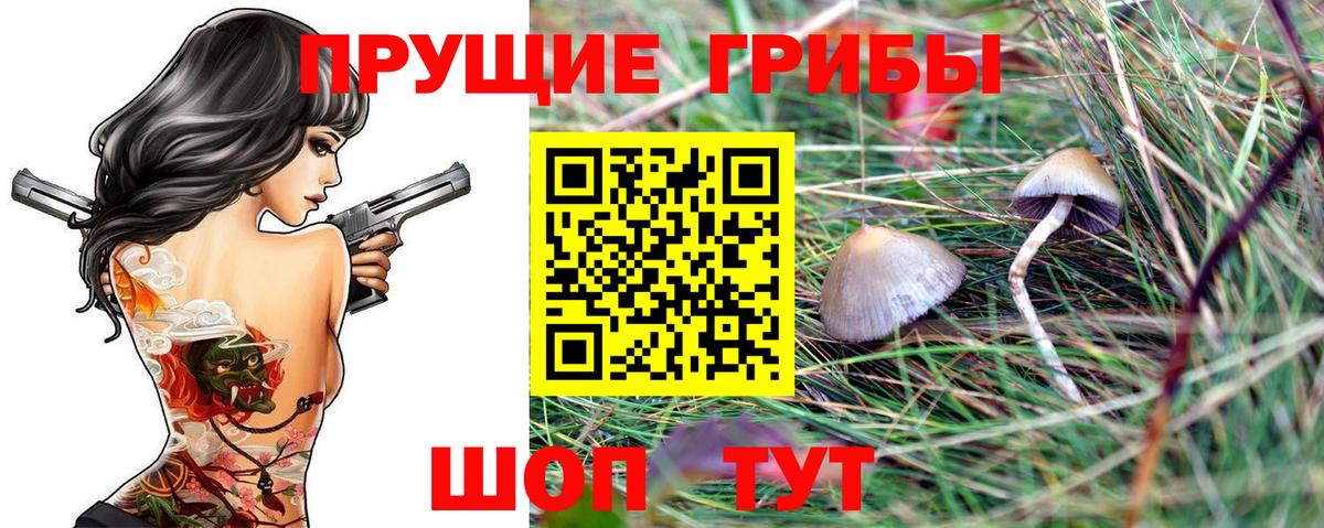 Галлюциногенные грибы Psilocybe  купить  сайты  Кубинка 