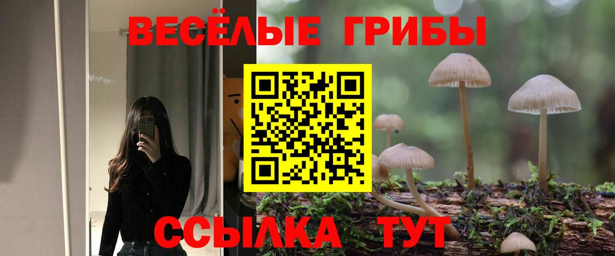 Кубинка  Псилоцибиновые грибы мухоморы  Вход с VPN 